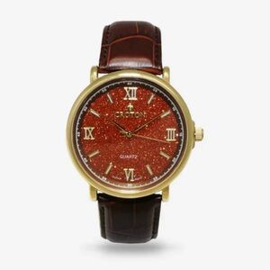 CROTON

MEN'S STAINLESS STEEL QUARTZ WATCH WITH RUST GOLDSTONE GLASS DIAL